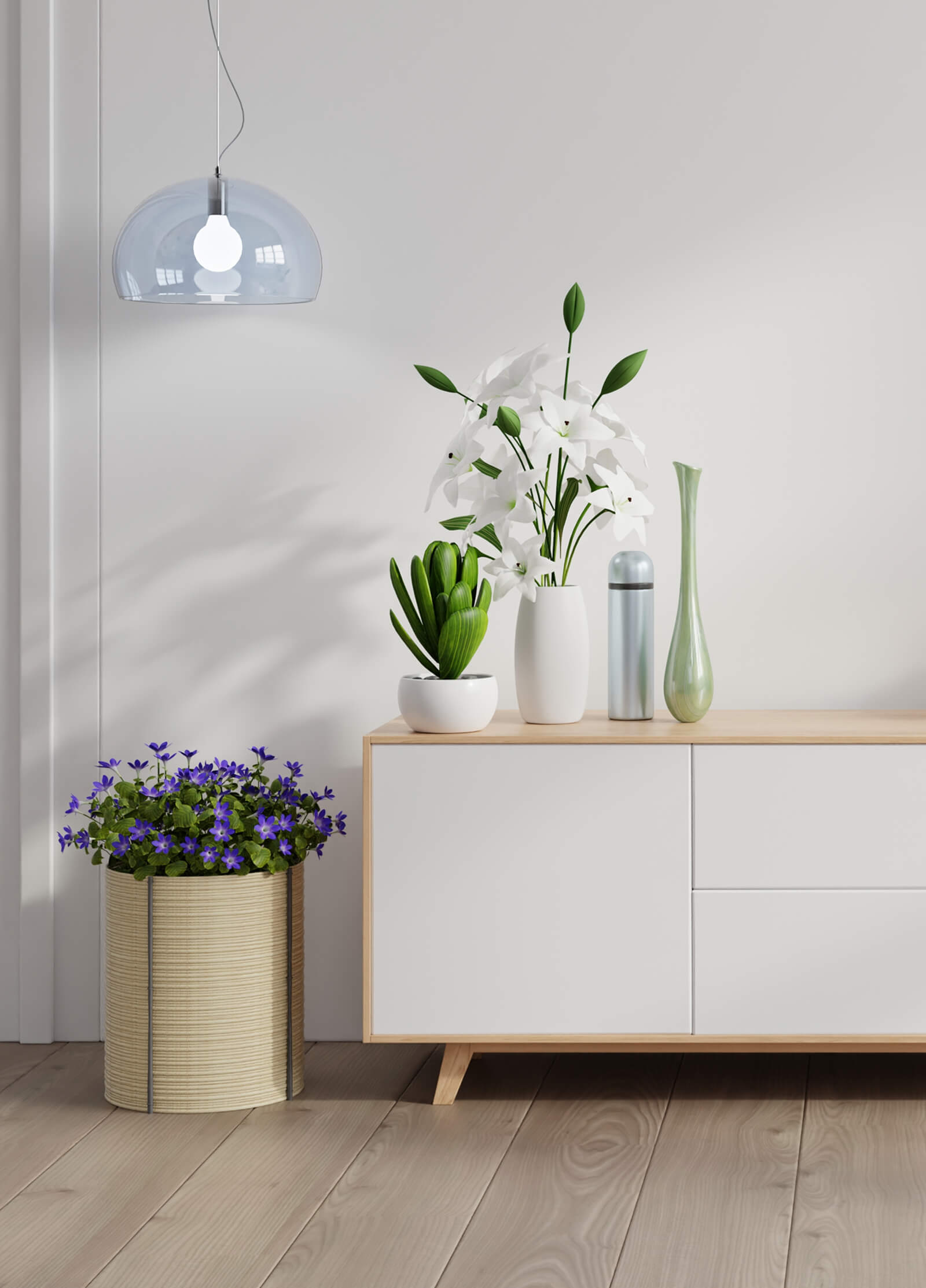 Eco Living Space